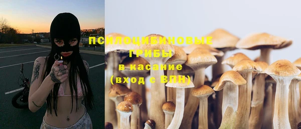 шишки Наволоки