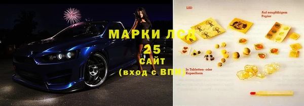 хмурый Арсеньев