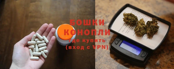 шишки Наволоки