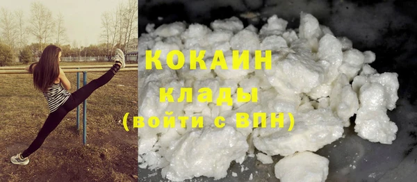 шишки Наволоки