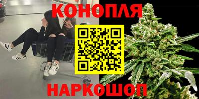 гидропоника Гусь-Хрустальный