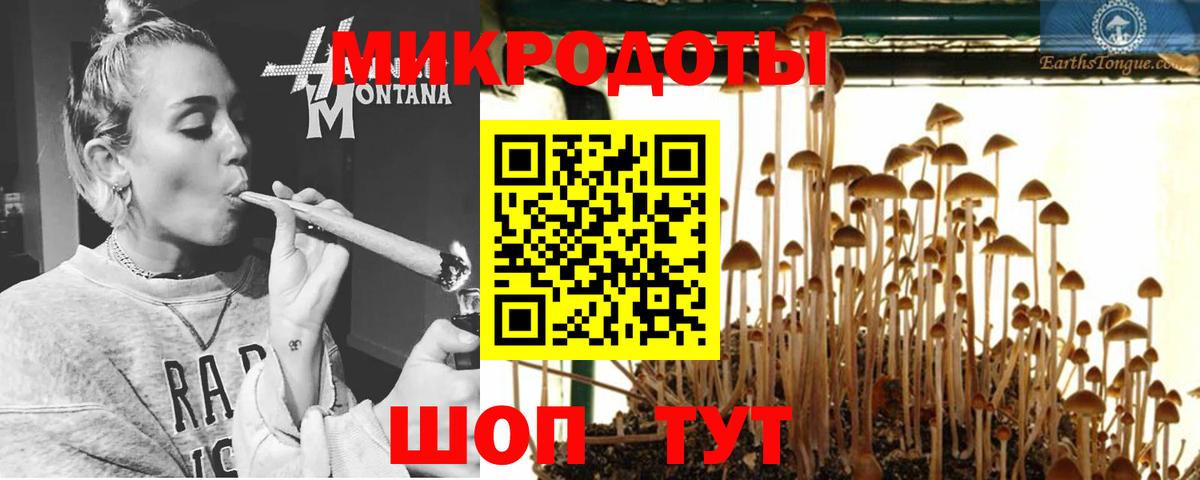 Псилоцибиновые грибы Psilocybine cubensis  Вход с VPN  Губаха  Галлюциногенные грибы мицелий 