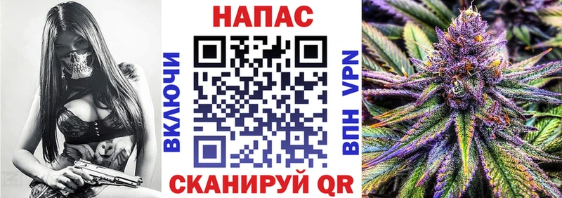 Шишки марихуана планчик  наркошоп  Губаха 